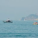  , , 60  -  12  2017   , 2017, ,.