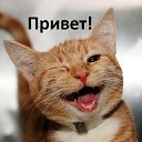 ���� �������, ���������� �����, 48 ��� - ��������� 18 ���� 2017 � ������ ���� ����������