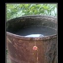  Aleks, , 65  -  1  2017    