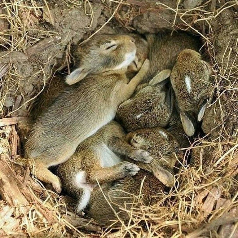                ,   ...