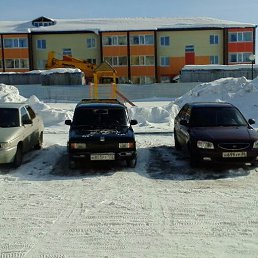 ���� ����, �������������, 42 ���� - ��������� 31 ��� 2017