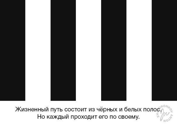 Как выглядит черная полоса