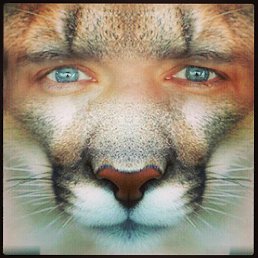 �����, ������