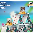 ���� ��������, ������, 38 ��� - ��������� 3 ���� 2017 � ������ �������� �������-�������