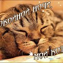 ���� Elena, �����������, 50 ��� - ��������� 17 �������� 2017 � ������ ���� ����������
