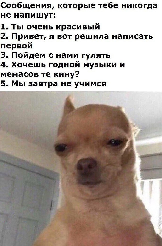    :D - 29  2017  19:29
