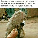 ���� ����, ��������, 41 ��� - ��������� 30 ������ 2017 � ������ ���� ����������