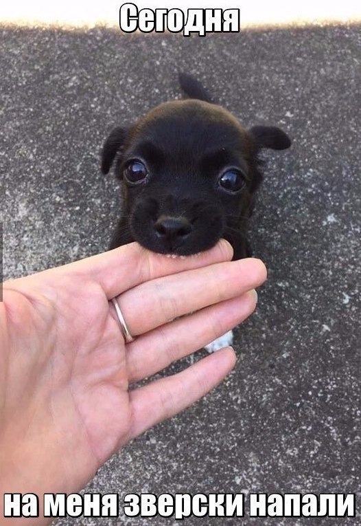 Art & Fun - 14  2017  19:36