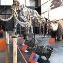 ���� ������, �����������, 35 ��� - ��������� 13 ������ 2017 � ������ ������ 2017�