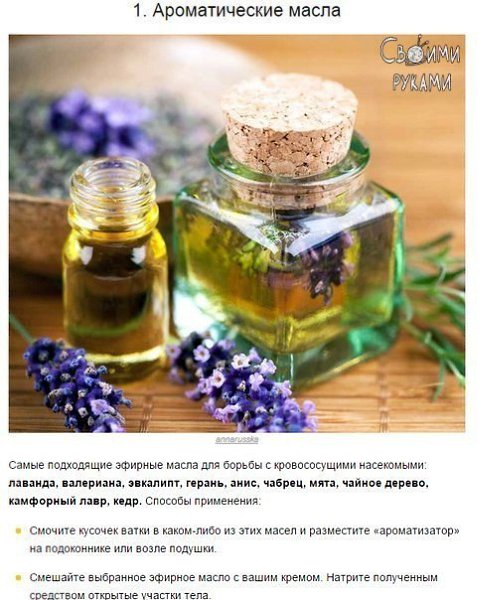 10 способов борьбы с комарами и их укусами