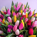 ���� Anna, ������������ - ��������� 25 ������ 2017 � ������ ���� ����������