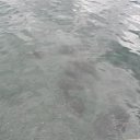  , , 60  -  6  2017   , ,06.09.17. ,...