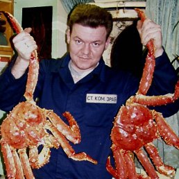 ���� �������, �����������, 54 ���� - ��������� 18 ������ 2017