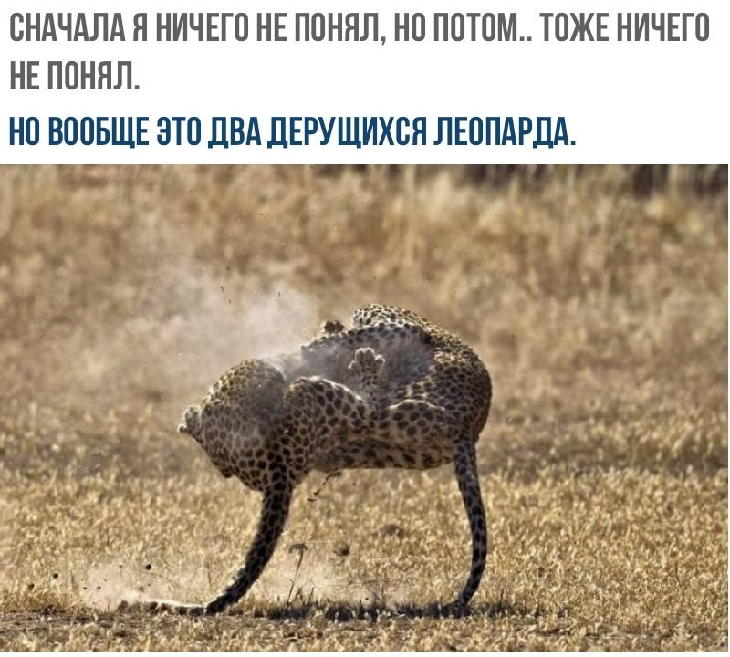    - 2  2017  14:23