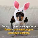 ���� &bull;��������, ������������ - ��������� 4 ������ 2017 � ������ ������ ��������