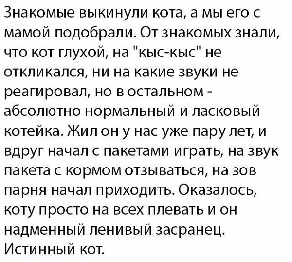   - 7  2017  00:43