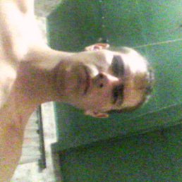 ����, ������