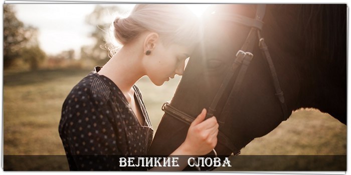  ,  ,  ,    ,      !. ...