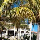 ���� �����, �����������, 59 ��� - ��������� 30 ��� 2017