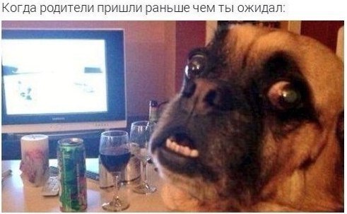  |  |  - 29  2017  09:23