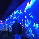  , , 43  -  4  2017     !!!