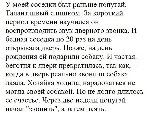    - 24  2017  11:03