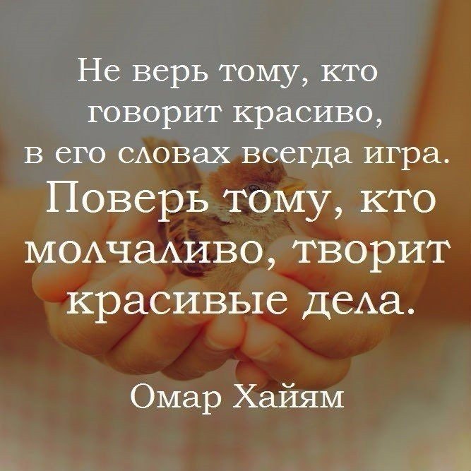    - 25  2017  17:01