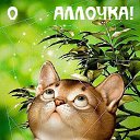 ���� ����, ������������ - ��������� 5 ������� 2017 � ������ ���� ����������