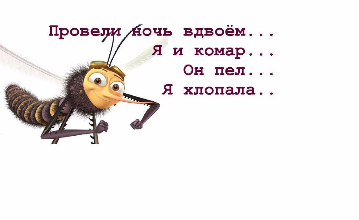   - 29  2017  22:49