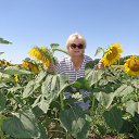 ���� ������, �������� - ��������� 25 ���� 2017 � ������ ���� ����������