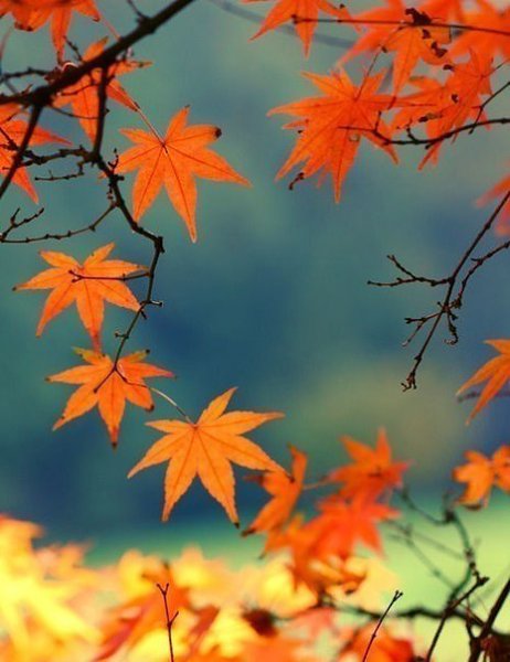 ������� | ���� 2016 | ������ | �������� | ������ - 20 ������� 2017 � 13:38 - 6