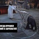 ���� ����, �������, 38 ��� - ��������� 14 ���� 2017 � ������ ������ ��������