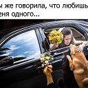 ���� �����, ������ �������� - ��������� 3 ������ 2017 � ������ ������ ��������