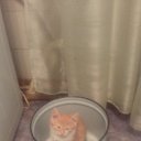 ���� ������, ������, 57 ��� - ��������� 15 ������ 2017 � ������ ���� ����������