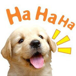 ���� ������, �������, 40 ��� - ��������� 30 ���� 2017