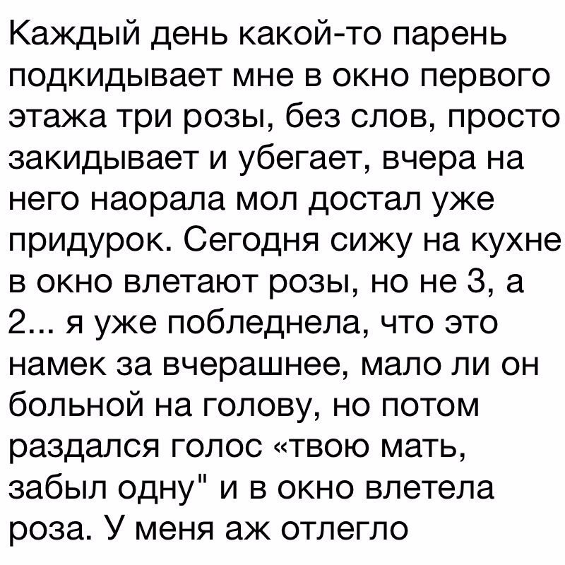   - 5  2017  00:41