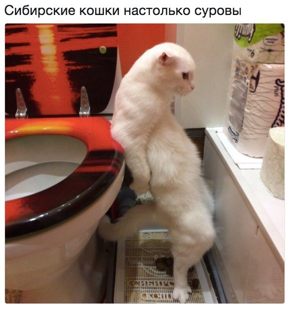   - 15  2017  15:39