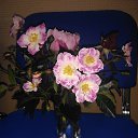  ,  , 60  -  18  2017   