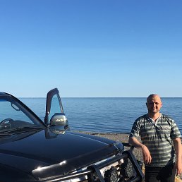 ���������, �������, 36 ���