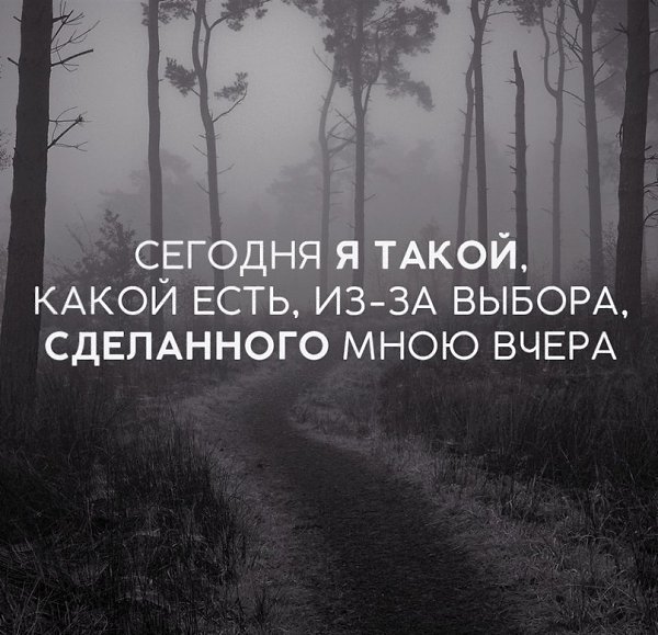 IQ Blog: , , ,  - 12  2017  20:05