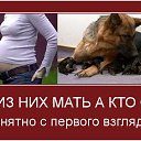 ���� �������, �����������, 53 ���� - ��������� 7 ������ 2017 � ������ ������ ��������