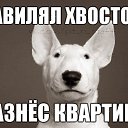 ���� �����, ������ - ��������� 23 ���� 2017 � ������ ������ ��������