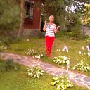 !  2017 .      2017 .