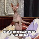 ���� Liliya, �������� - ��������� 7 ���� 2017 � ������ ������������ ����� ������