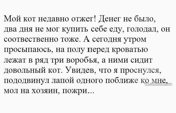   - 16  2017  10:07