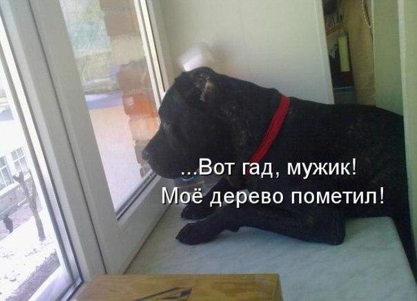  - 7  2017  16:06