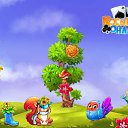 ���� ���� ����, �������� - ��������� 8 ������� 2017