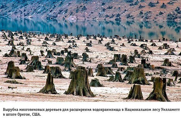 На грани апокалипсиса Влияние человеческой деятельности на Землю - 8