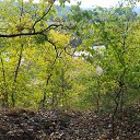 ���� ������, �������, 66 ��� - ��������� 19 ������� 2017 � ������ ���� ����������