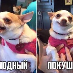 ����, �����, 44 ����